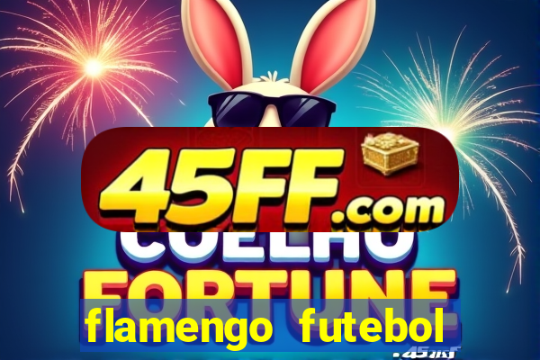 flamengo futebol play hd